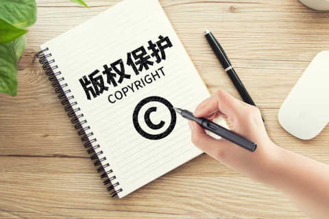 版权保护是什么