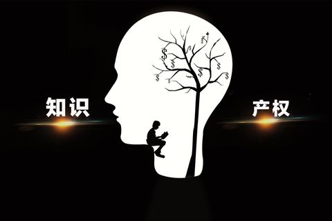 著作权申请要多久