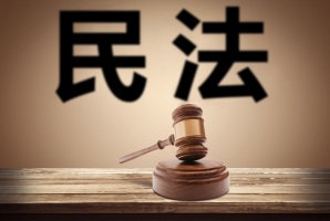 《中华人民共和国立法法》第六十五条释义