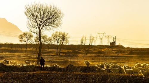 宅基地证是不是土地使用证